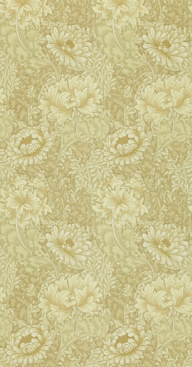 Chrysanthemum Ivory Canvas tapet