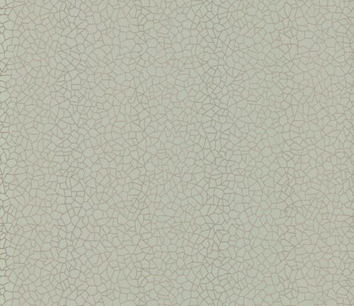 Carma - Kew, NW Rosemore