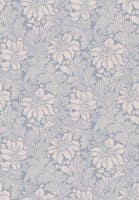 Acanthus - Vårt Arkiv