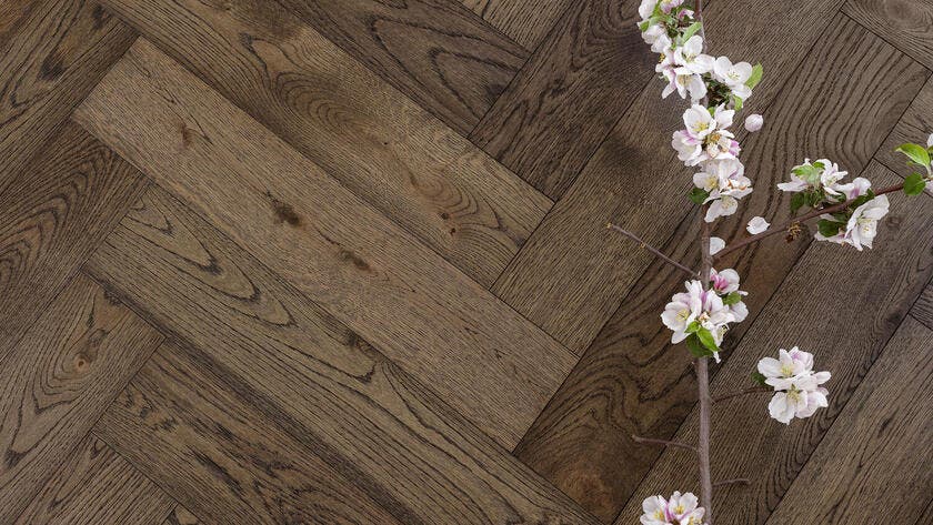 Segno | Ek Old Brown