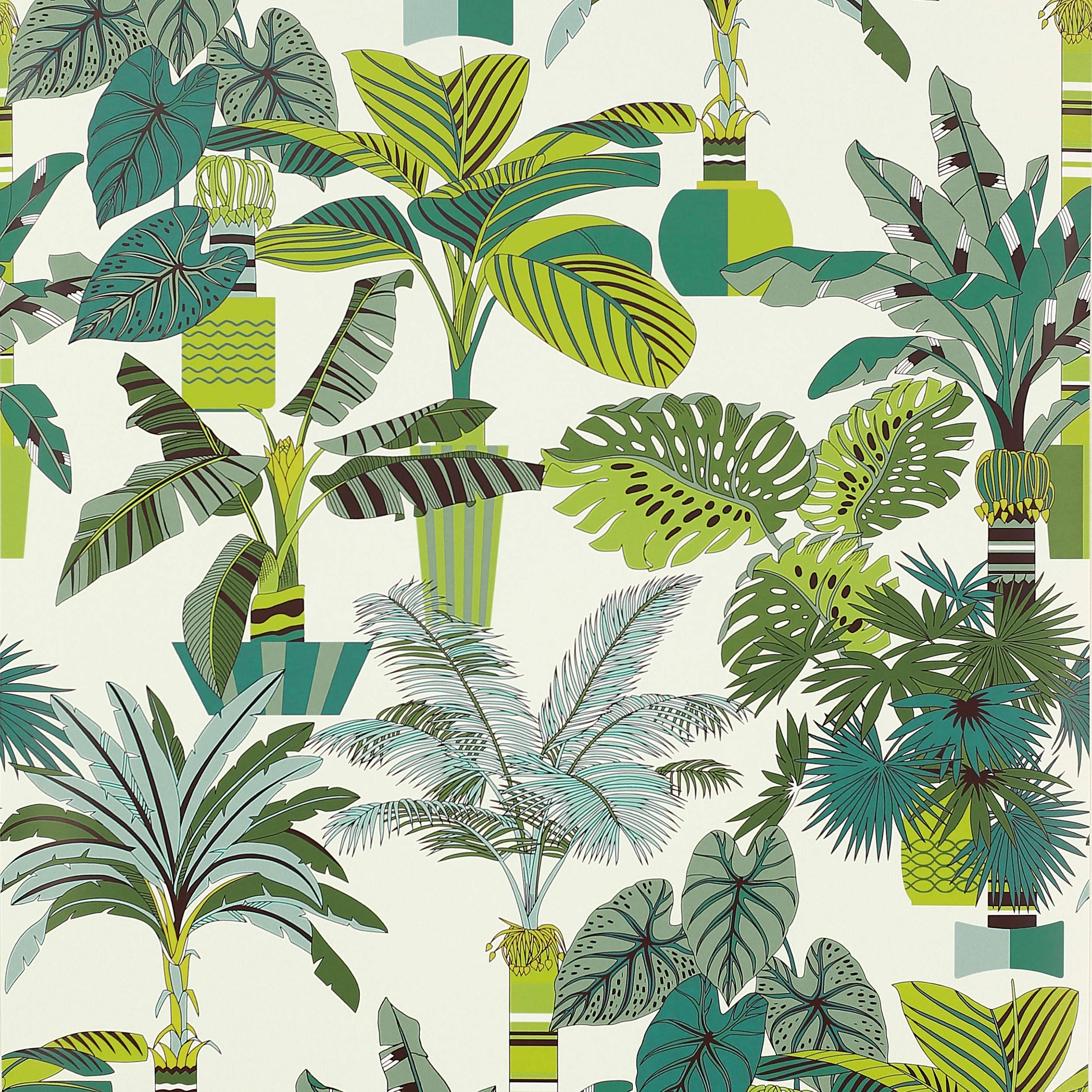 Manuel Canovas - Florida Lagon