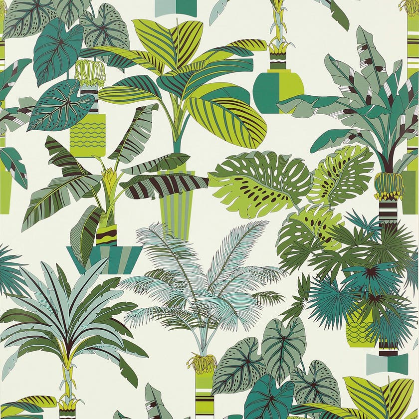Manuel Canovas - Florida Lagon