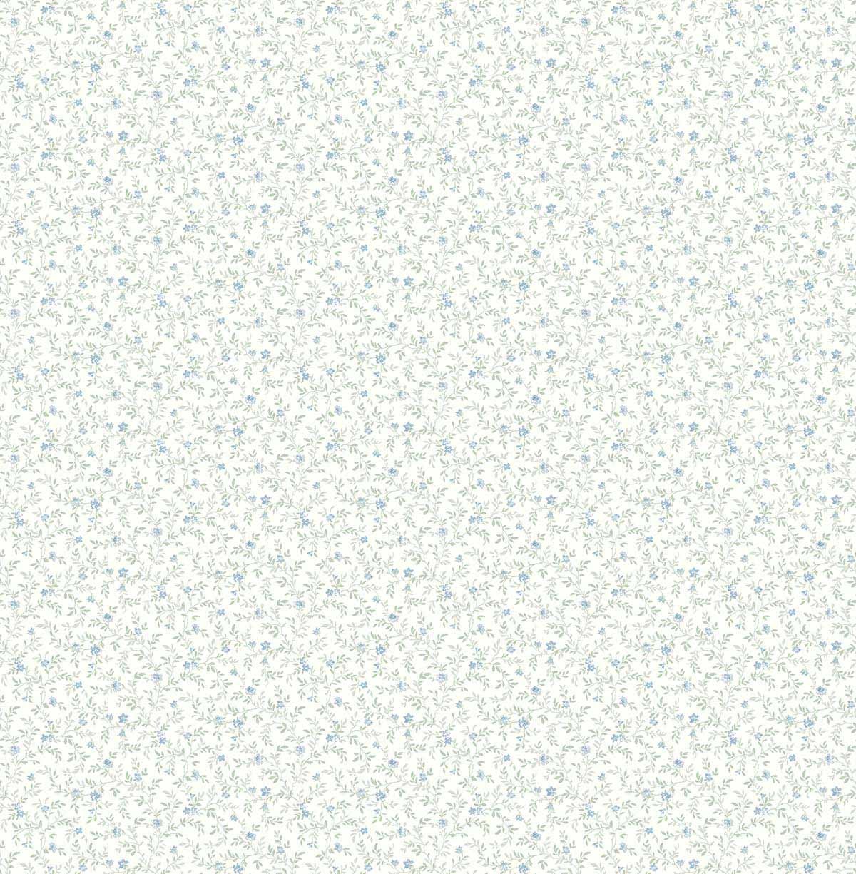 Carma - Alice & Rose