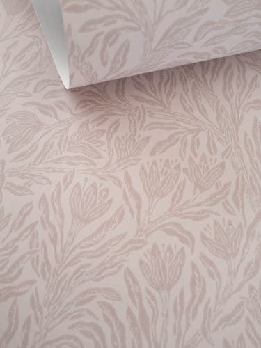 Krokus Northern Rose Norrviva