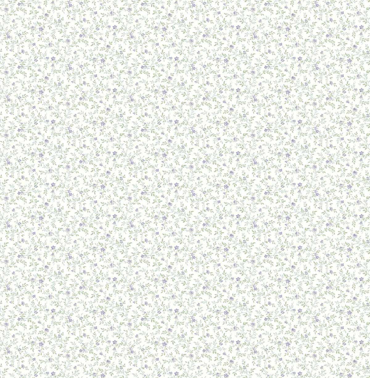 Carma - Alice & Rose