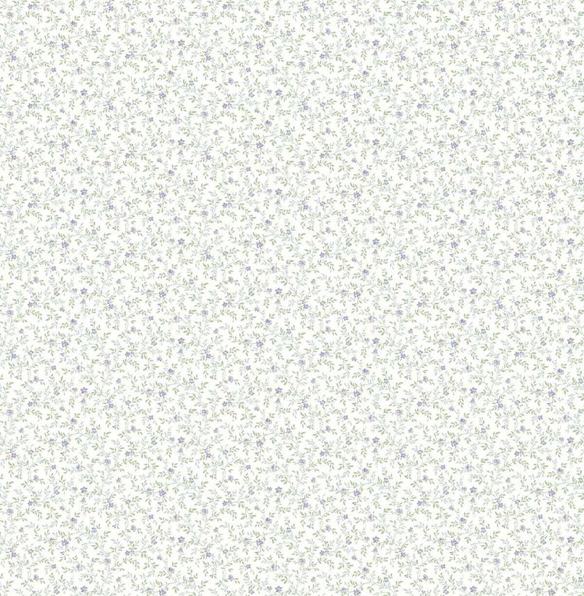 Carma - Alice & Rose