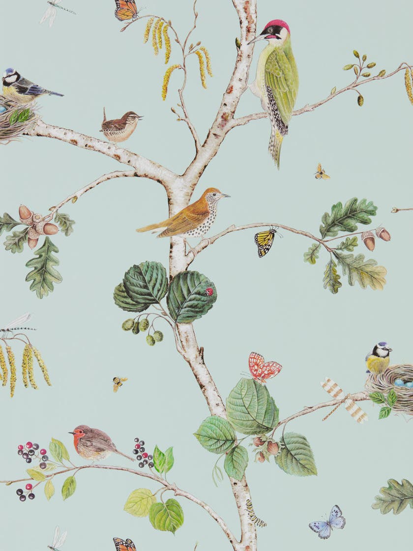 Woodland Chorus Sky Blue/ Arboretum Wallpapers