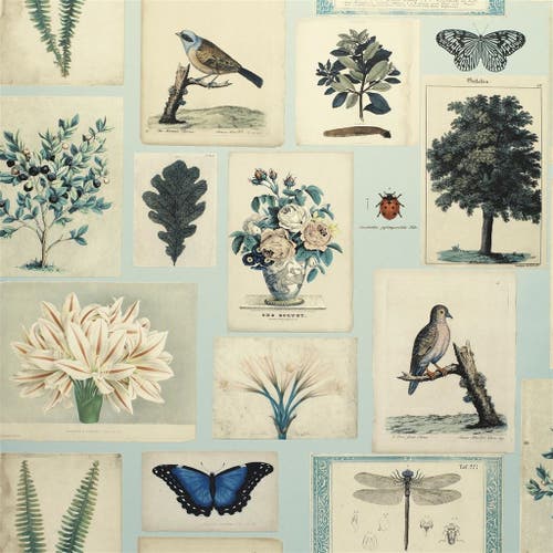 Flora and Fauna Picture Book Wallpapers I