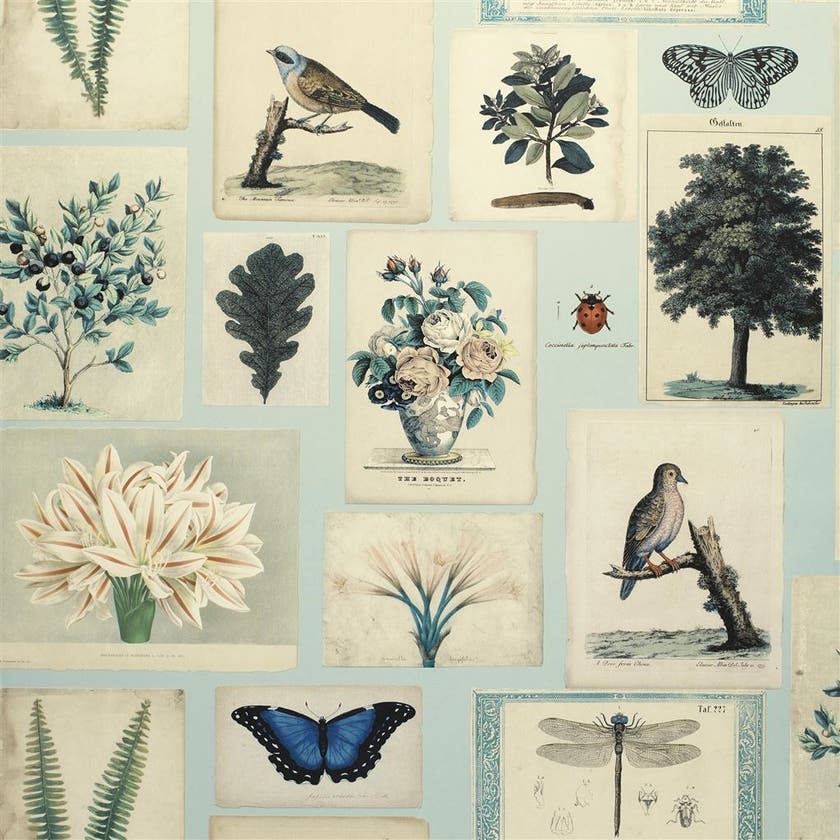 Flora and Fauna Picture Book Wallpapers I