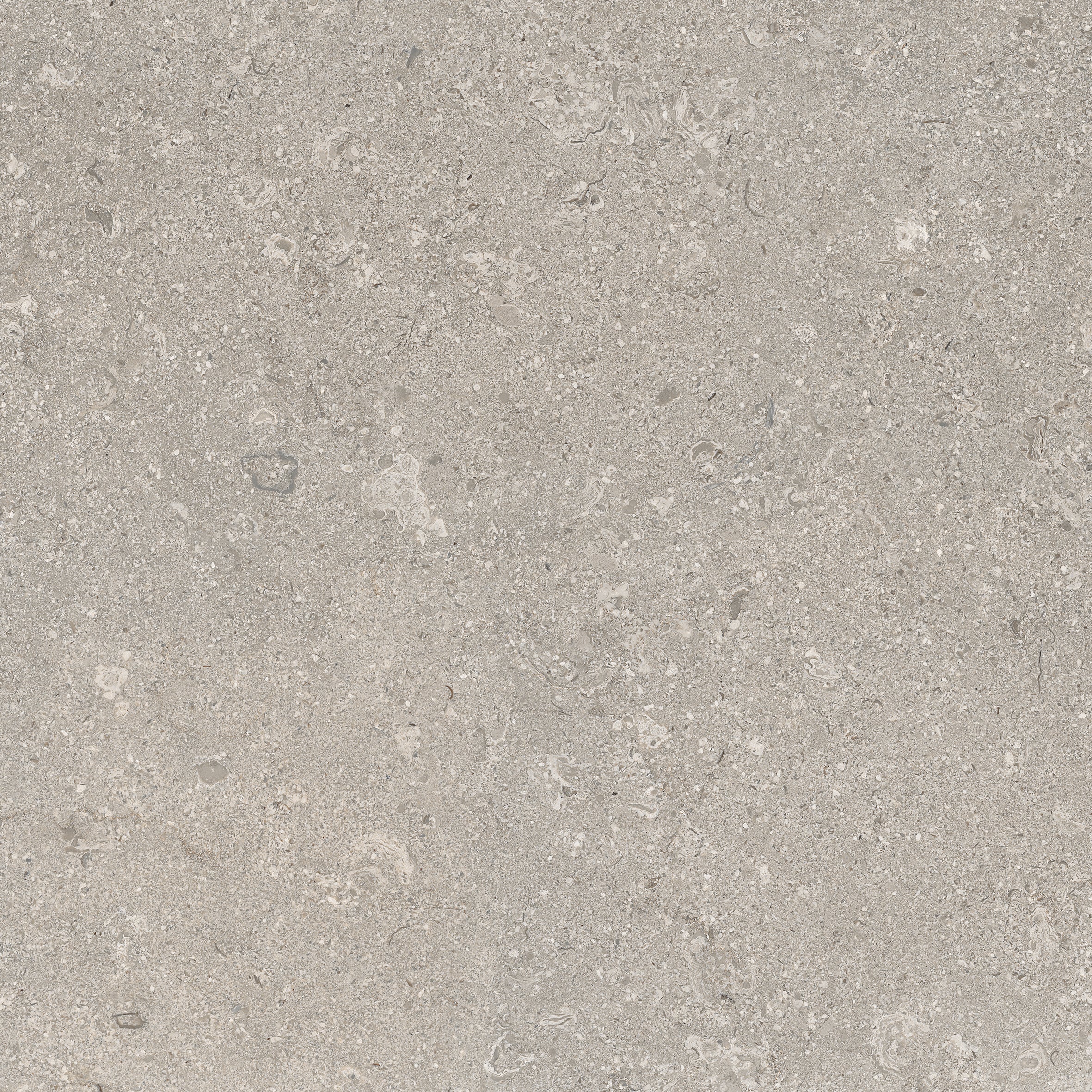 Limestone Grey 60x60 såg