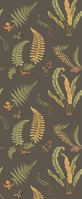 GP&J Baker - Original Ferns Charcoal BW45122-5