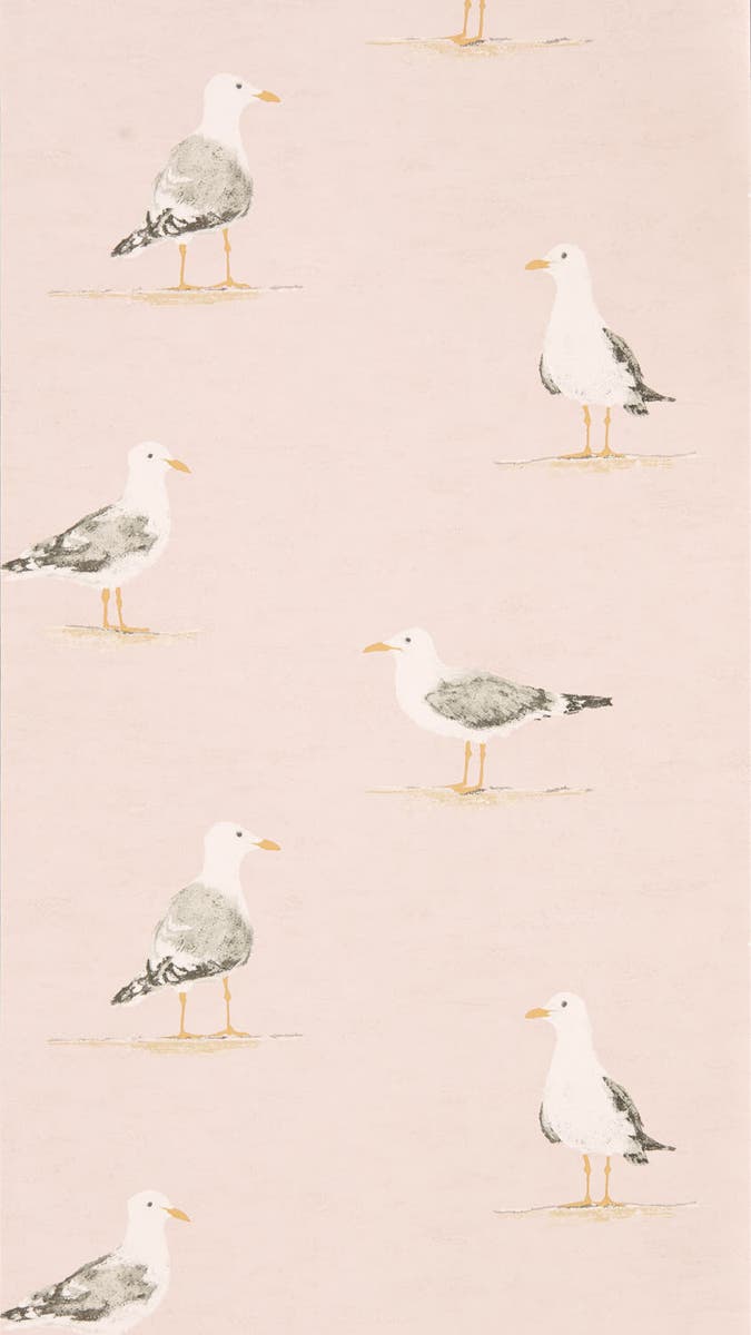 Sanderson - Shore Birds Blush Port Isaac Wallpapers