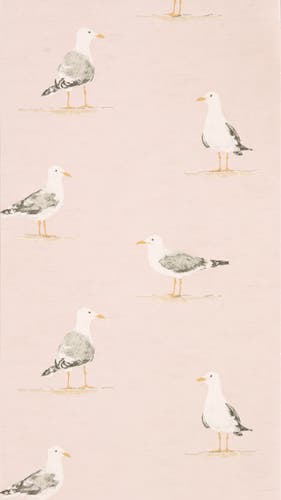 Sanderson - Shore Birds Blush Port Isaac Wallpapers