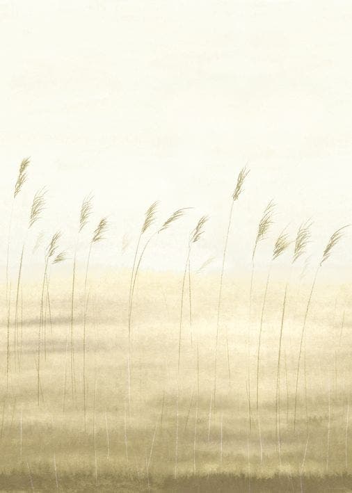 JONC DES DUNES_M BLE 200x SENTIER DES DUNES