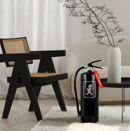 Brandsläckare 6 kg Svart/Silver