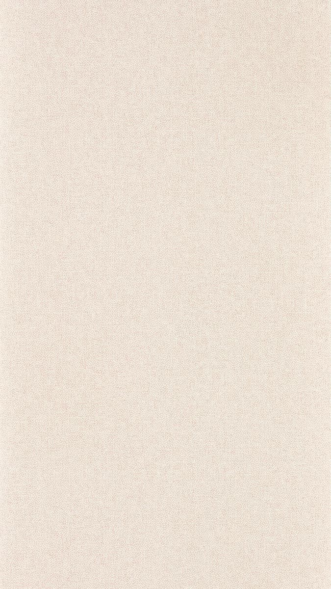 Sanderson - Sessile Plain Wild Rose Arboretum Wallpapers