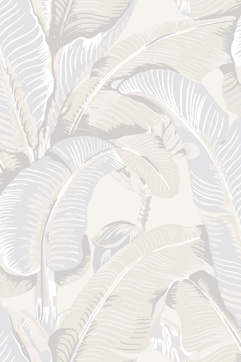 Jannelli & Volpi - Hinson Palm