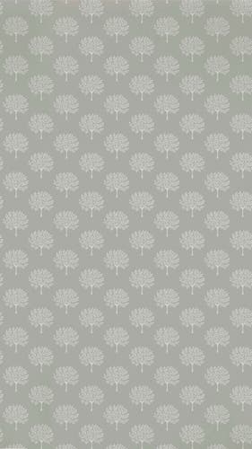 Sanderson - Marcham Tree Grey Birch Littlemore Wallpapers