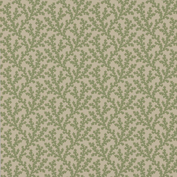 Colefax and Fowler - Sea Coral Green