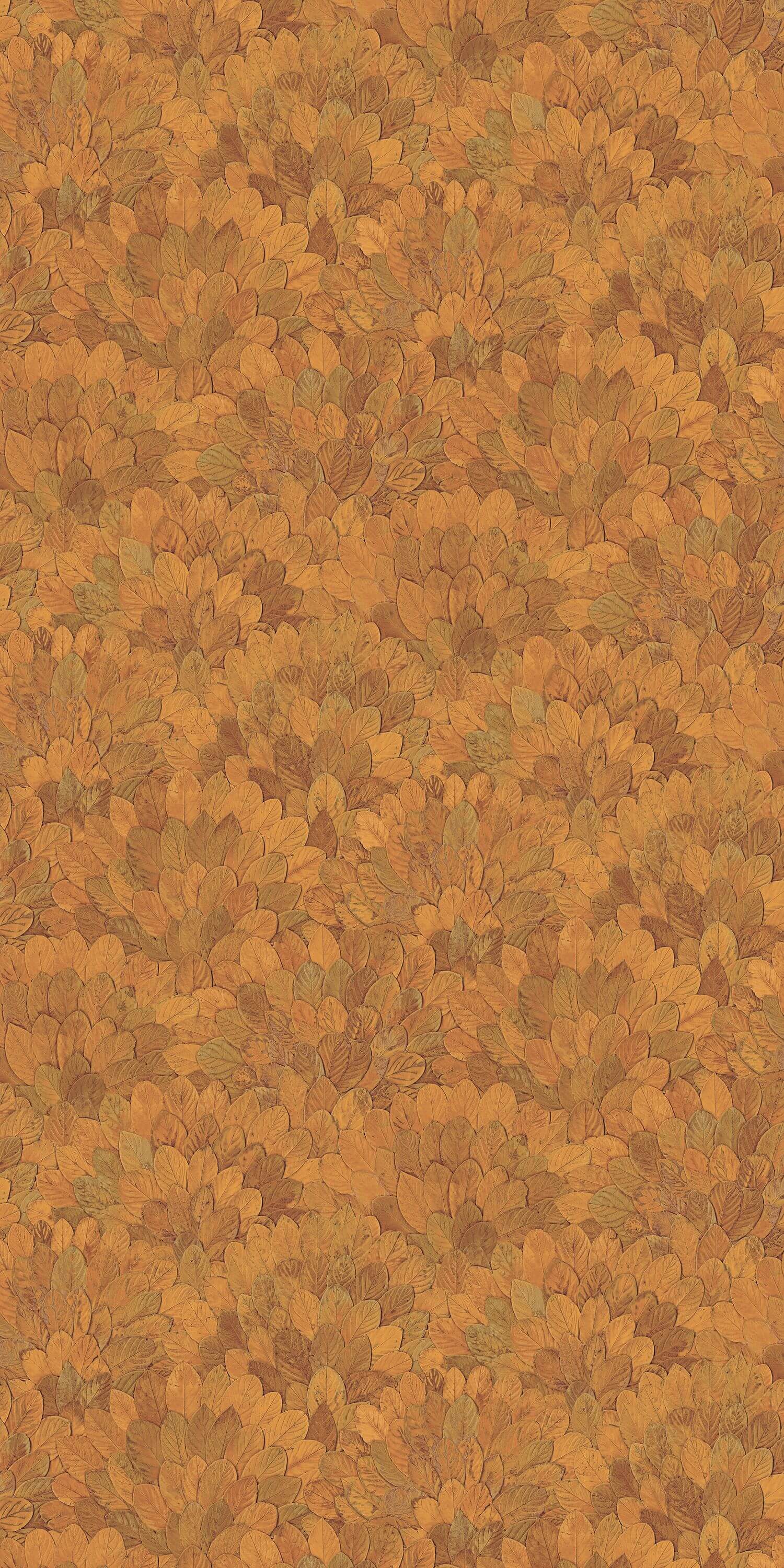 Casamance - Feijoa Safran Modernismo