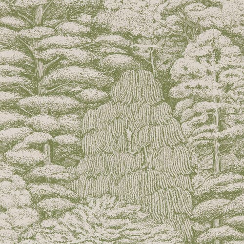 Sanderson - Woodland Toile Cream/Gree Woodland Walk Wallpapers