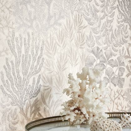 RECIF NATUREL VOYAGE ONIRIQUE