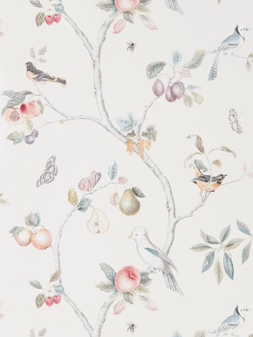 Sanderson - Fruit Aviary Cream/Multi Country Woodland Wallcove