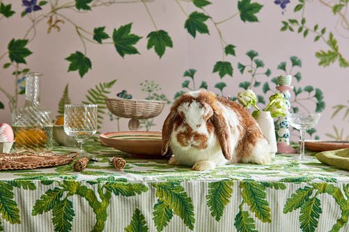 Sanderson - Sycamore and Oak Botanica Arboretum Wallpapers