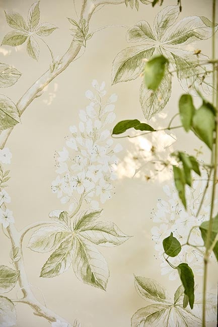 Sanderson - Chestnut Tree Seaspray/Pe Country Woodland Wallcove