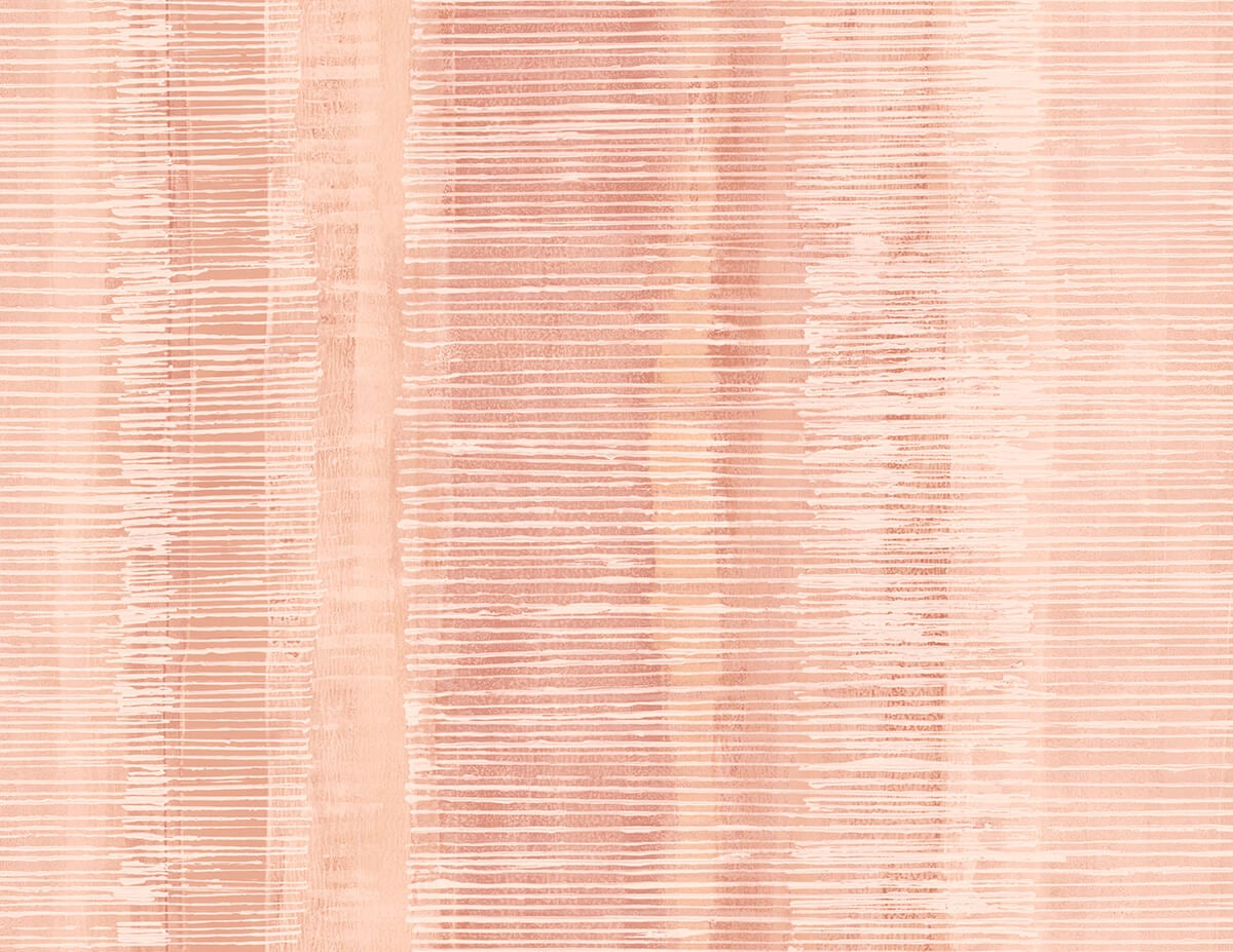 Intrade - Boho Rhapsody