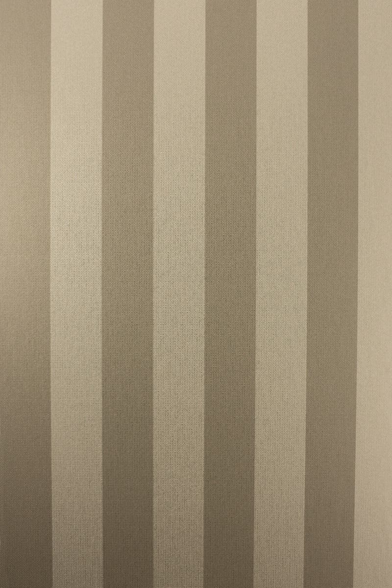 Osborne & Little - Stripe Champagne