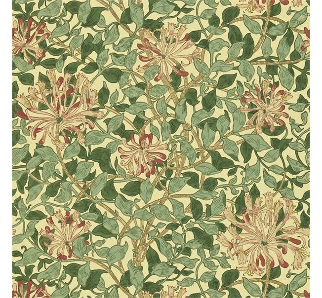 Honeysuckle Green/Coral/P Morris and Friends Wallpa
