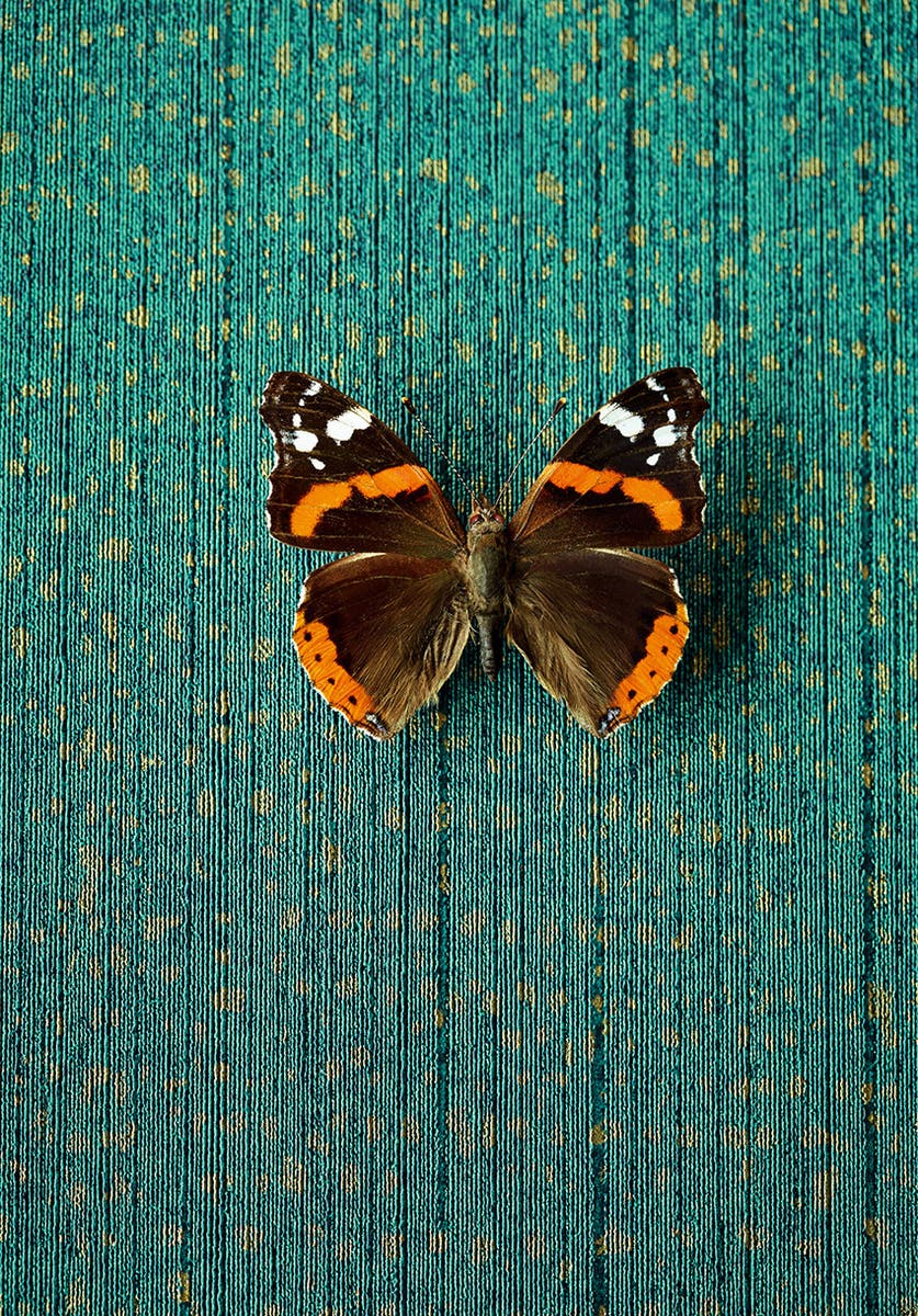 Eijffinger Intrade - Masterpiece