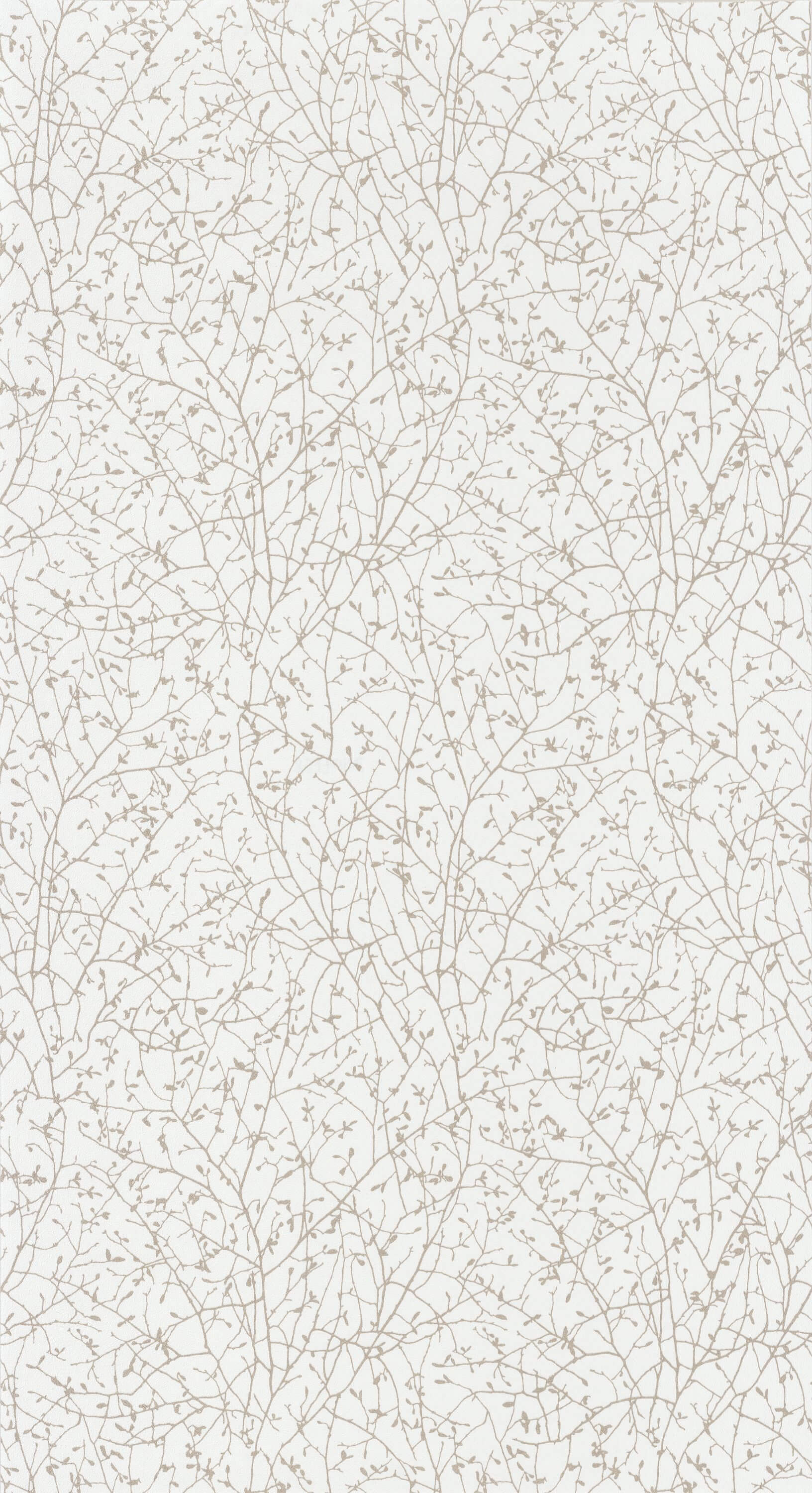 Casadeco - So White 4 Spring Beige/B So White 4