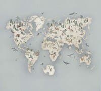 Little Explorer Mural Newbie