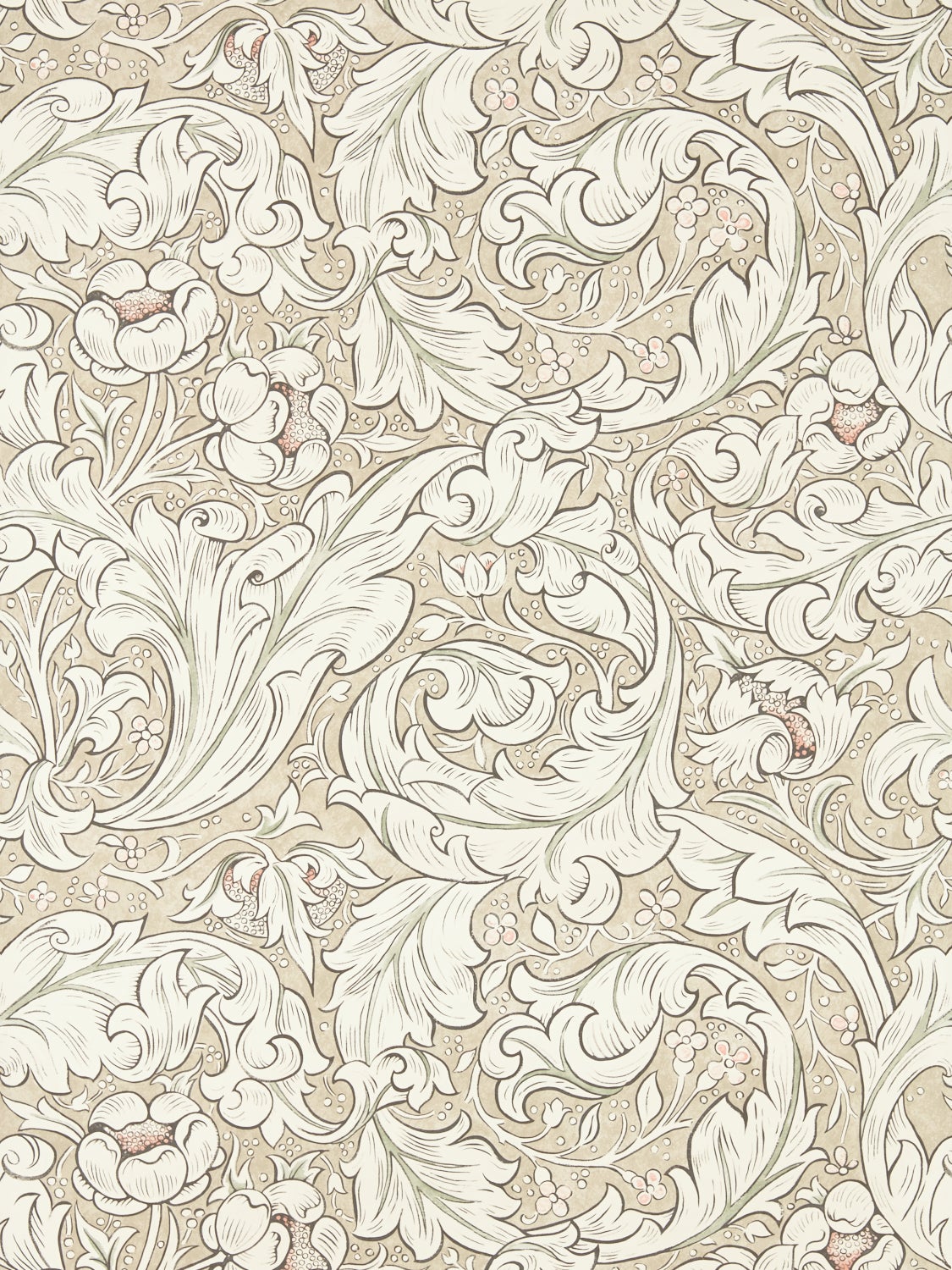 Morris & Co - Pure Bachelors Button Lin Morris Pure Wallpapers