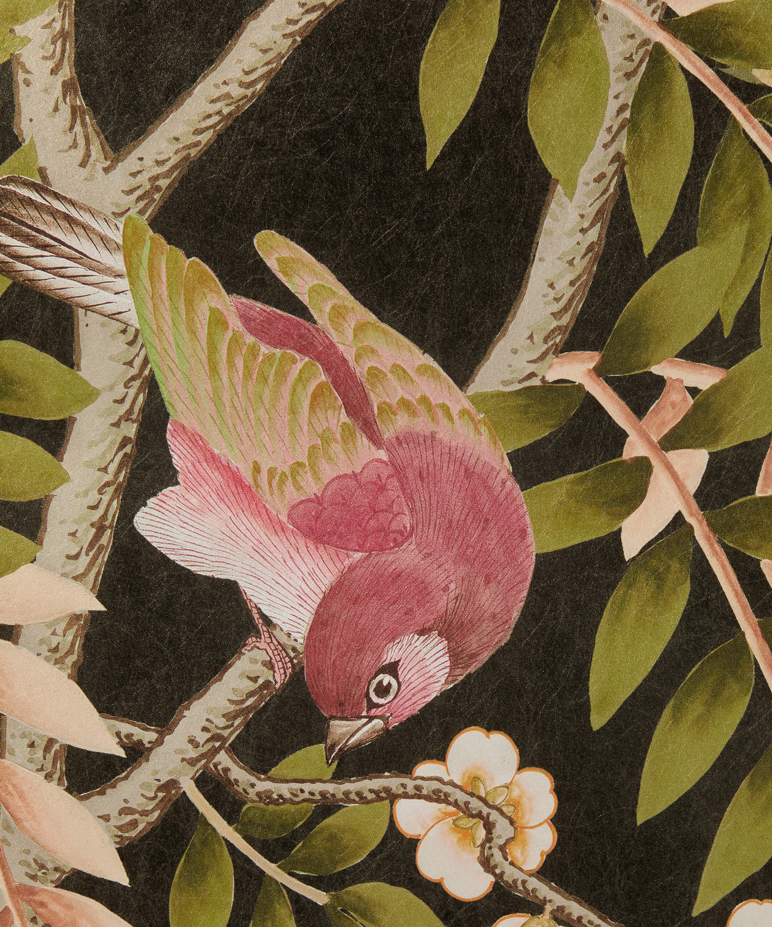 Liberty - Silk Tree Red Lac