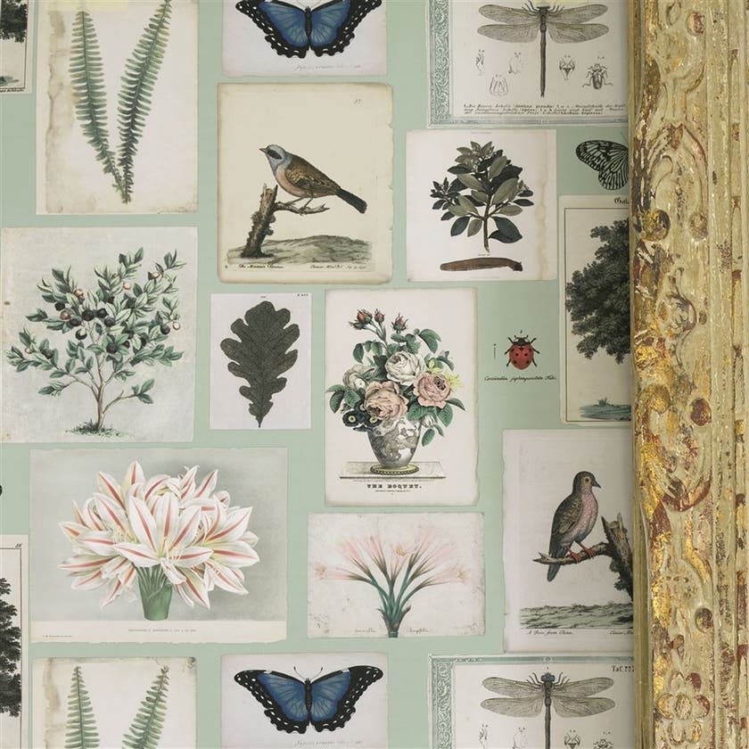 Flora and Fauna Picture Book Wallpapers I