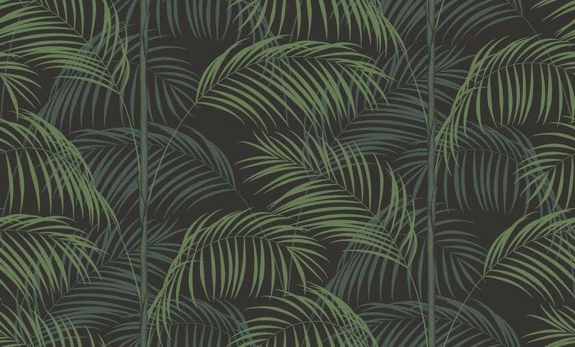 LE TOUT PARIS VERT CANOPE ANNEES FOLLES