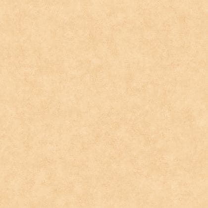 Caselio - Beton Uni Peau De Peche Beton 2