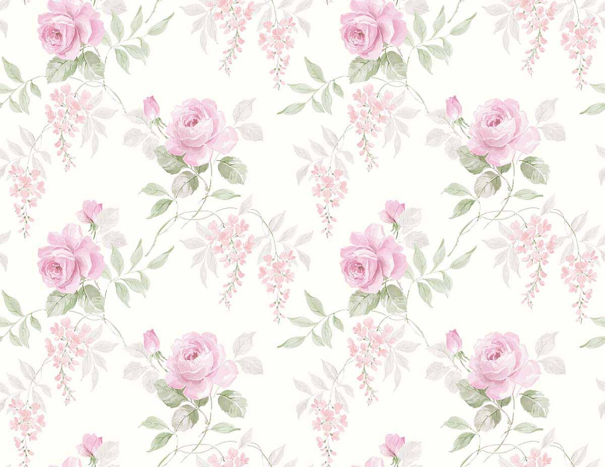 Carma - Alice & Rose