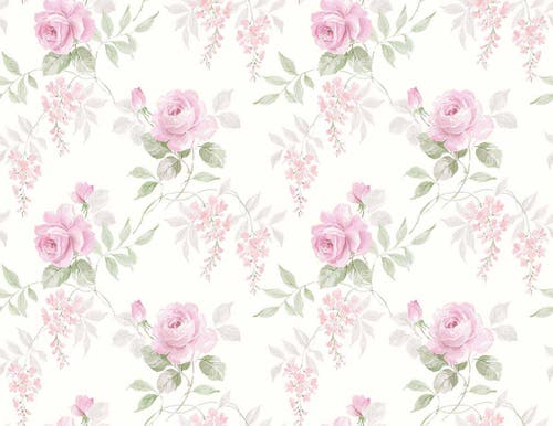 Carma - Alice & Rose