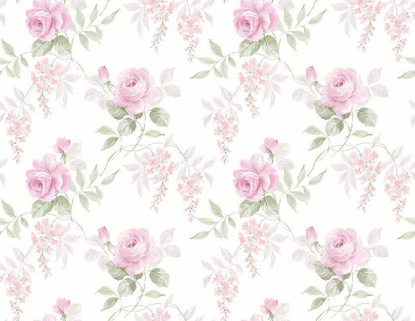 Carma - Alice & Rose