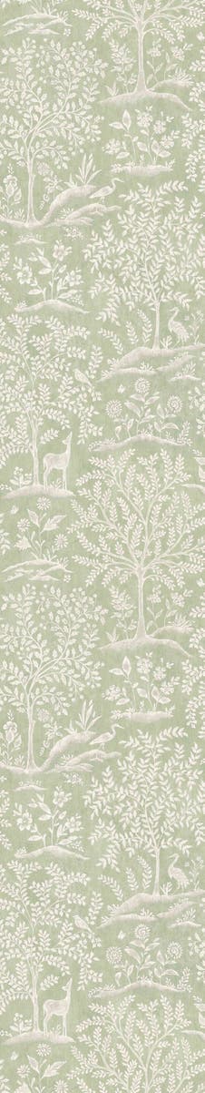 Nina Campbell - Foret Nc Signature Foret Eucaly