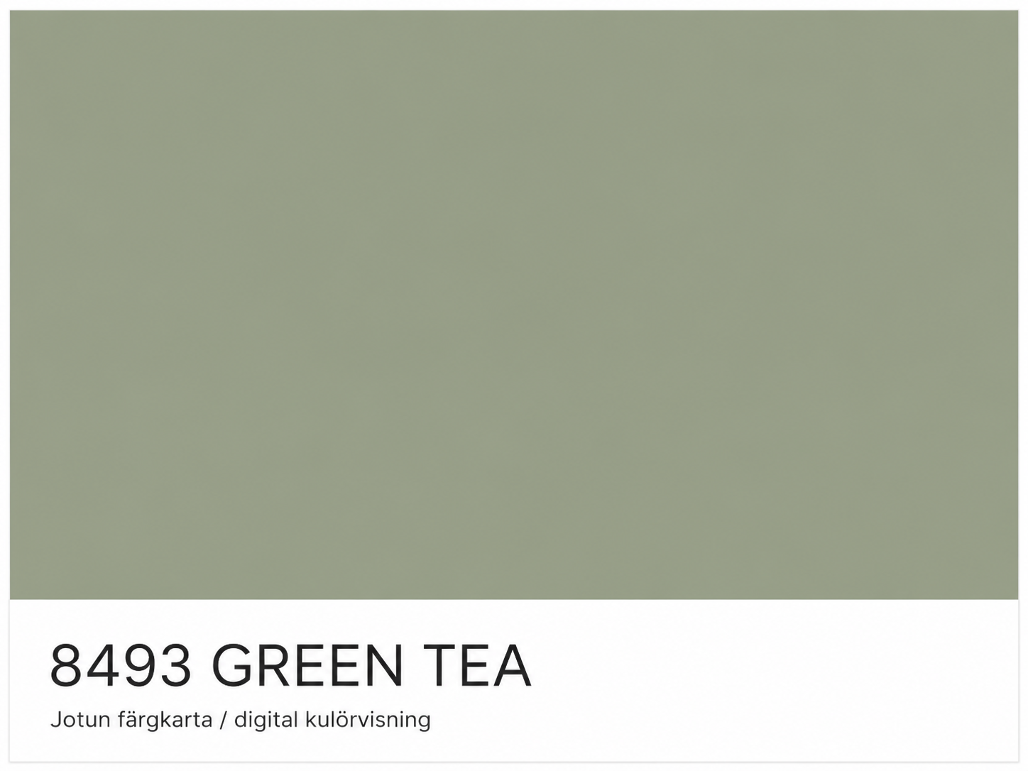 Lady Pure Color - 3L - 8493 Green Tea (Outlet) OBS EJ VIT