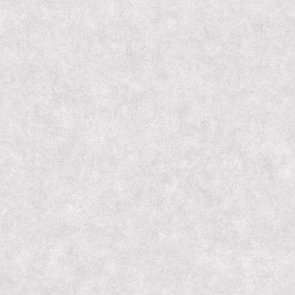 Caselio - Beton Uni Gris Beton Clai Beton 2