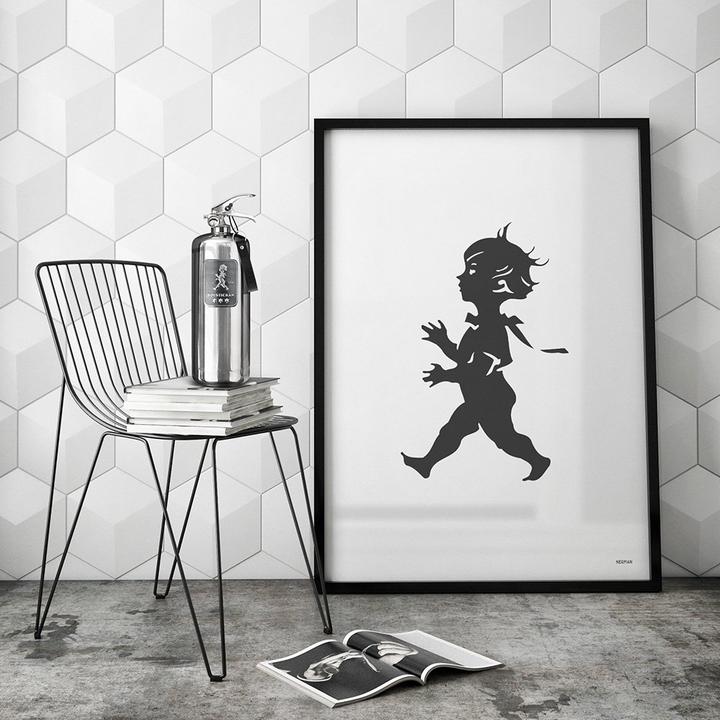 Brandsläckare 2 kg Design Steel Edition