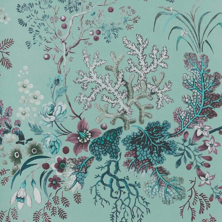 Carma - Kilburn's Coral