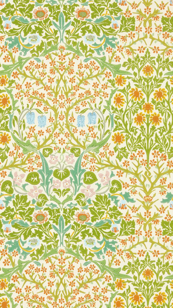 Blackthorn Spring Cornubia Wallpapers