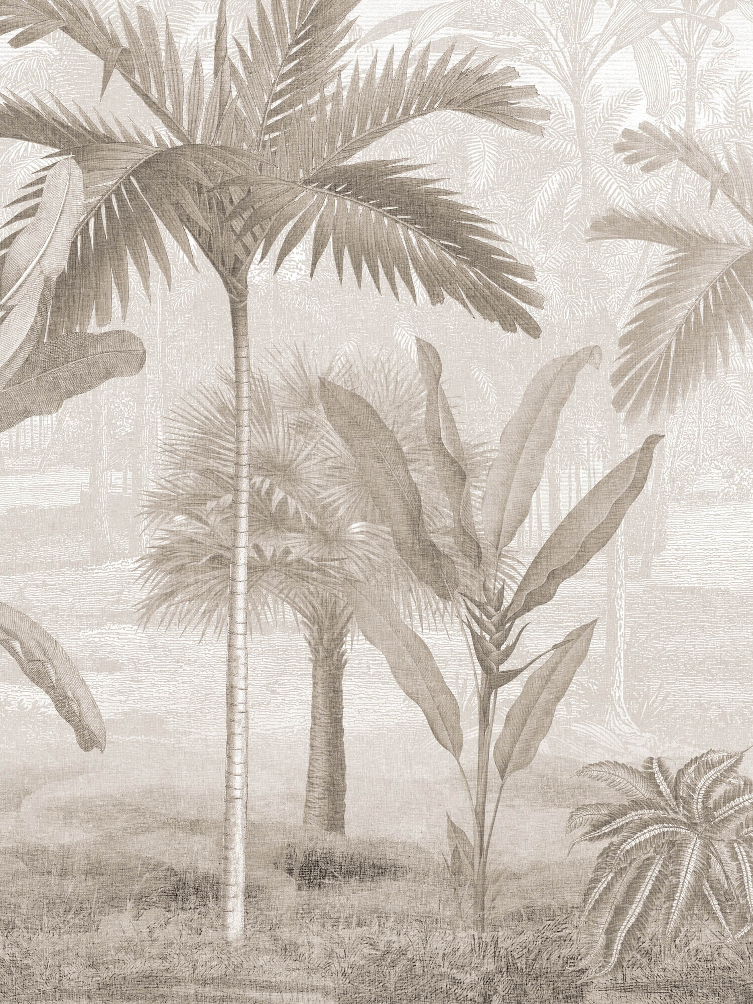 Boråstapeter - Vintage Palms